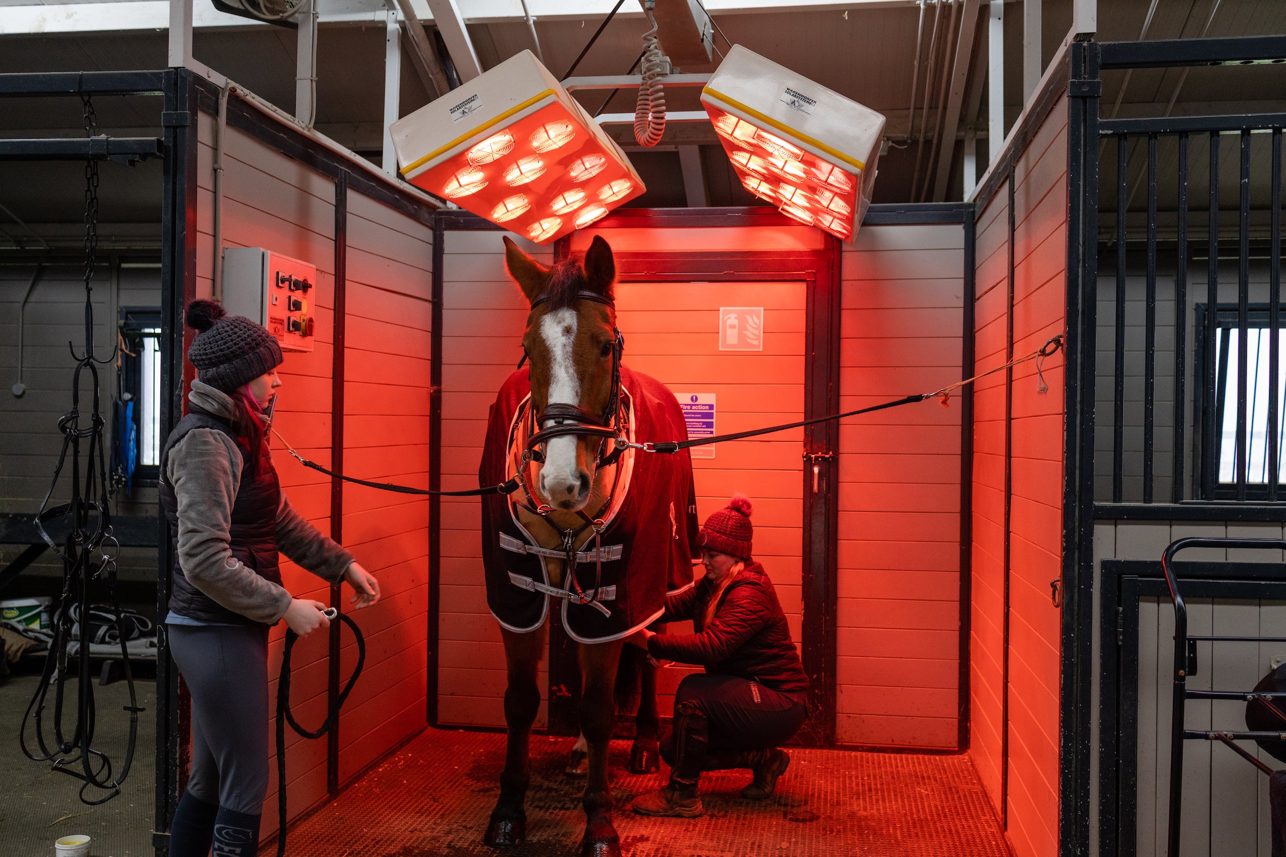 Horse under a heater in stables at Mount Juliet Estate.