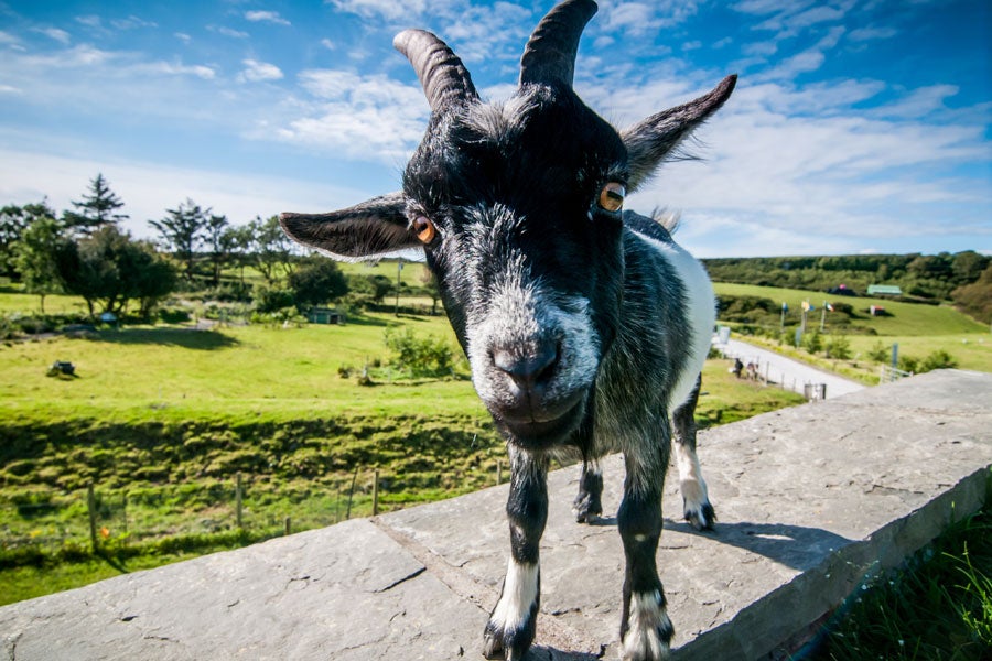 Visit Doolin Cave with Discover Ireland
