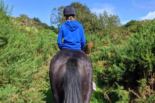 Greenway Equestrian