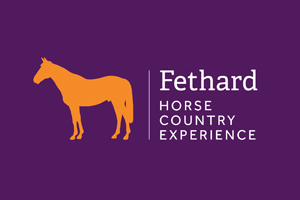 Fethard Horse Country Experience
