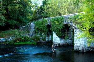 Fishing beside the oldest bridge on the Liffey,near to where Jonathan Swift wrote Gulliver's Travels
