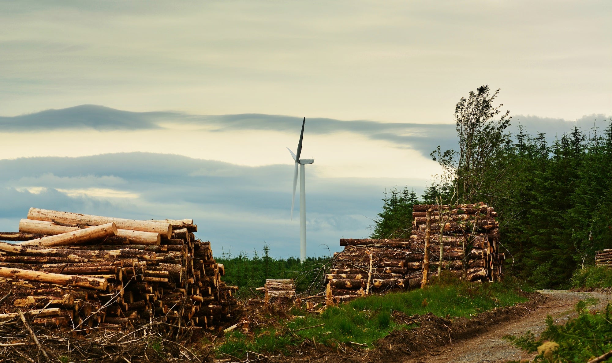 The Streamhill Loop in Ballyhoura, Co Limerick