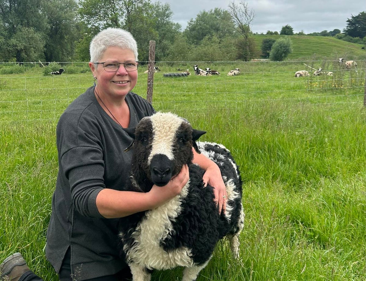 A lady with her arms around a sheep