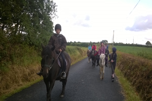 Cooley Equestrian Centre