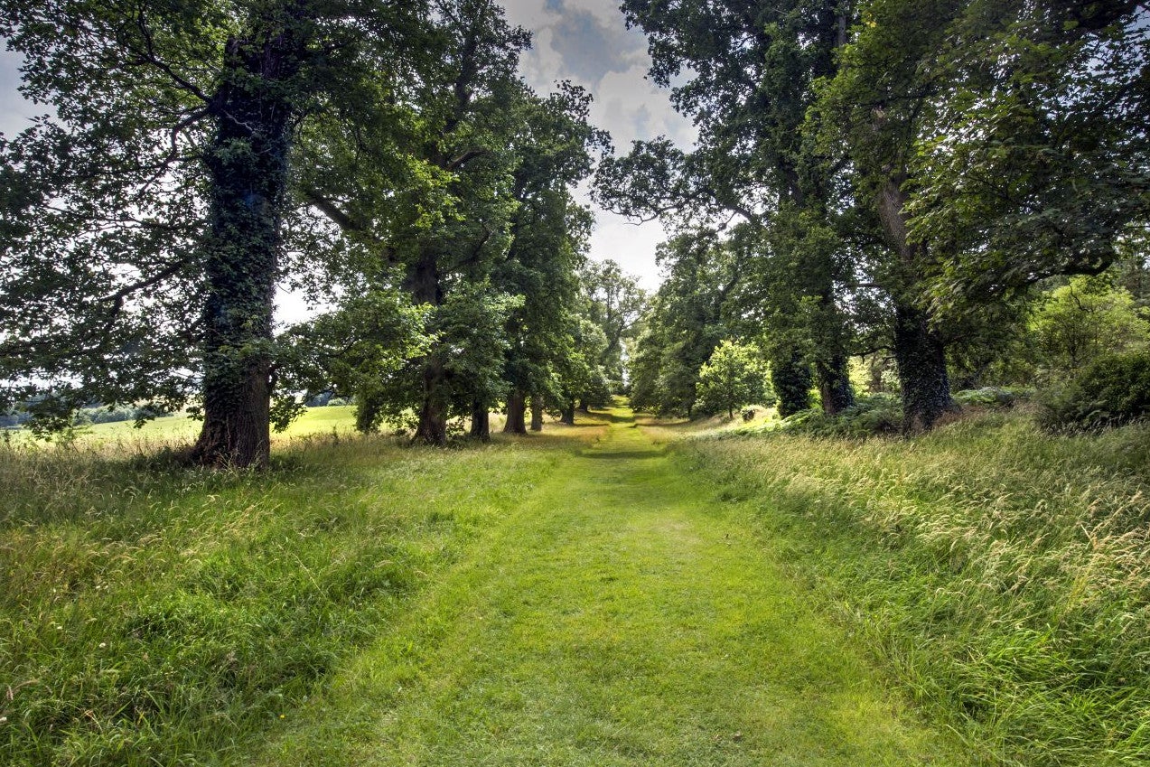 Visit National Botanic Gardens - Kilmacurragh with Discover Ireland