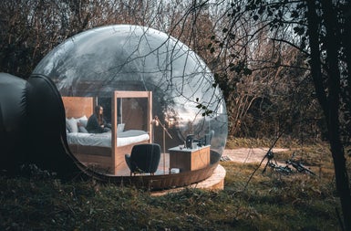A person sitting on a bed in a glass pod in a woodland