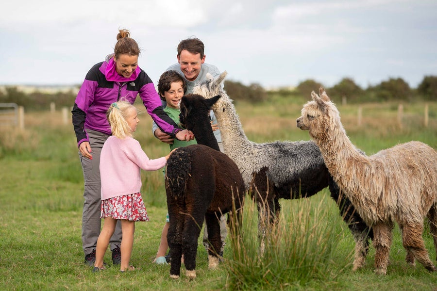 Visit Limerick Tours by About Ireland Taxi Tours with Discover Ireland