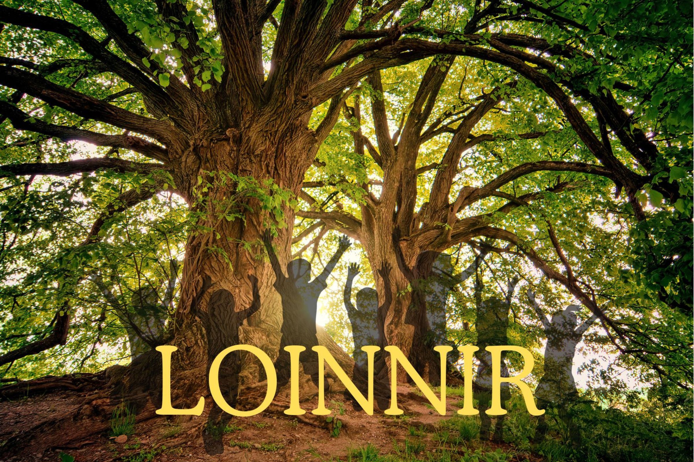LOINNIR presented by Céim Arts
