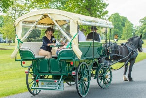 Image of carriage tour