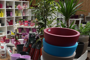 Urban Plant Life Garden Centre