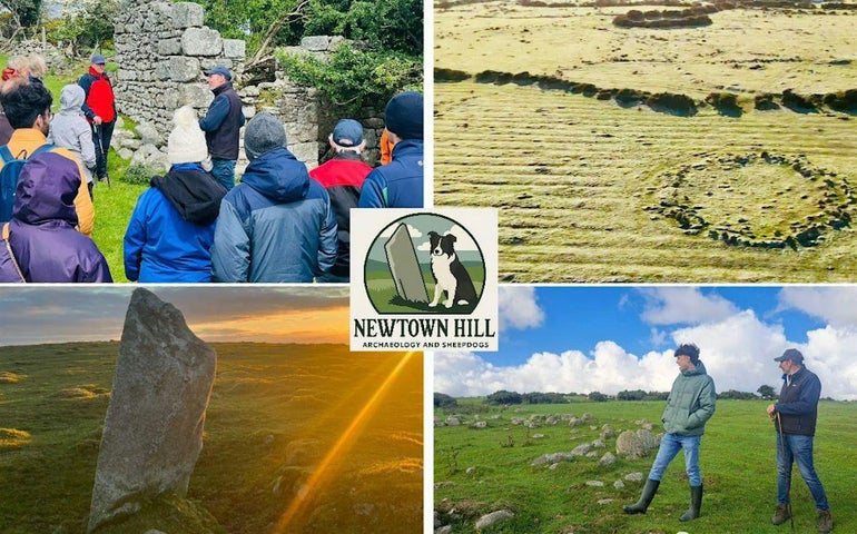 Newtown Hill Sheepdog Demonstration