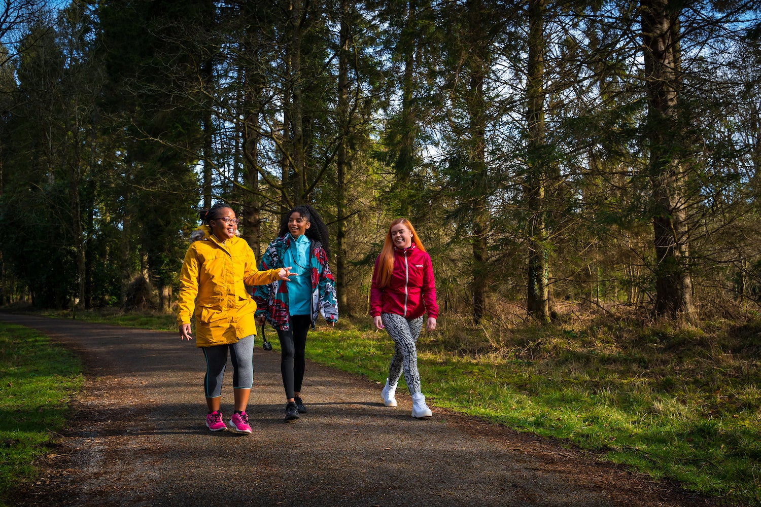 People walking in the Portumna Forest Park in Co Galway