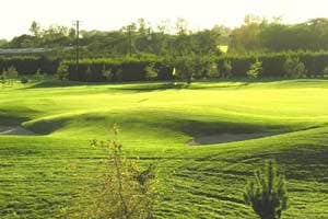Beaverstown Golf Club