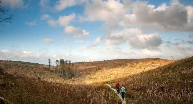 Cavan Images Check Out the Best Things to Do in County Cavan with Discover Ireland