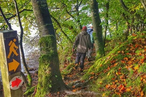 A walker on the loop around Lough Meelagh