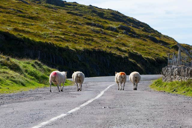 Celtic Self Drive Vacations