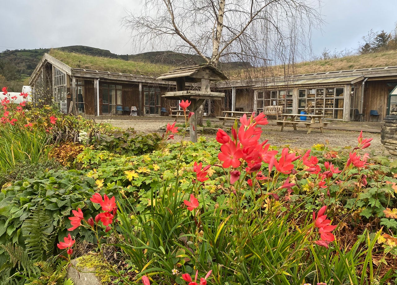 The Organic Centre outside view with orange flowers in the front