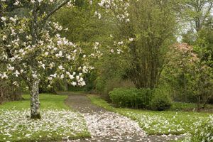 Coolcarrigan House and Gardens