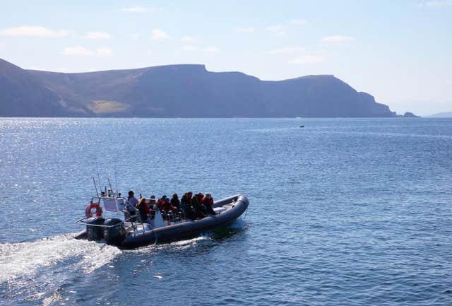 Achill Sea Safari