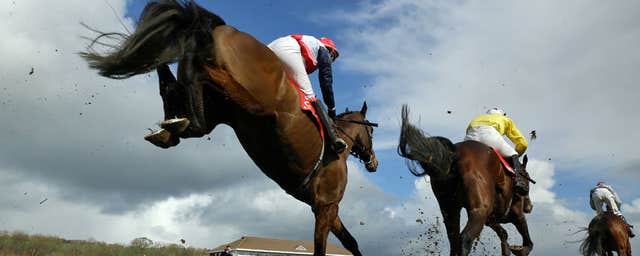 Cork Racecourse Mallow