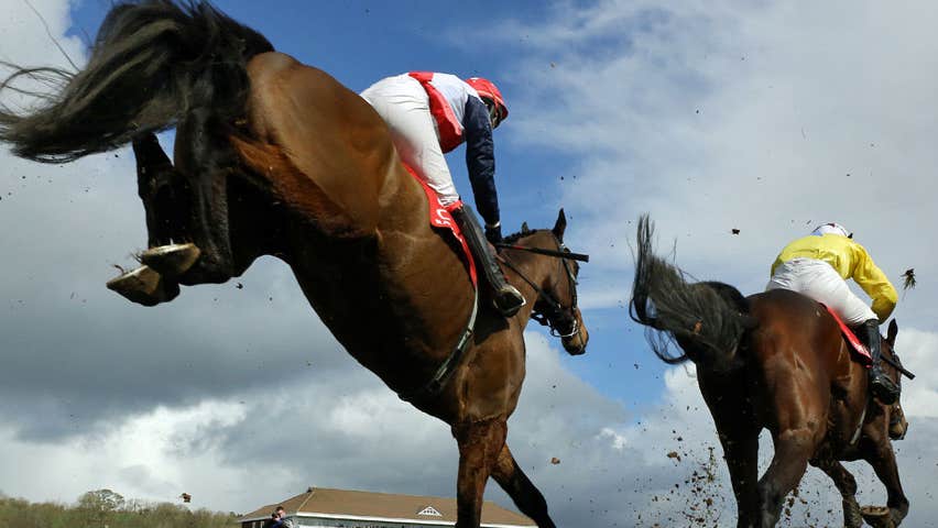 Corks Racing Visit Cork Racecourse Mallow with Discover Ireland