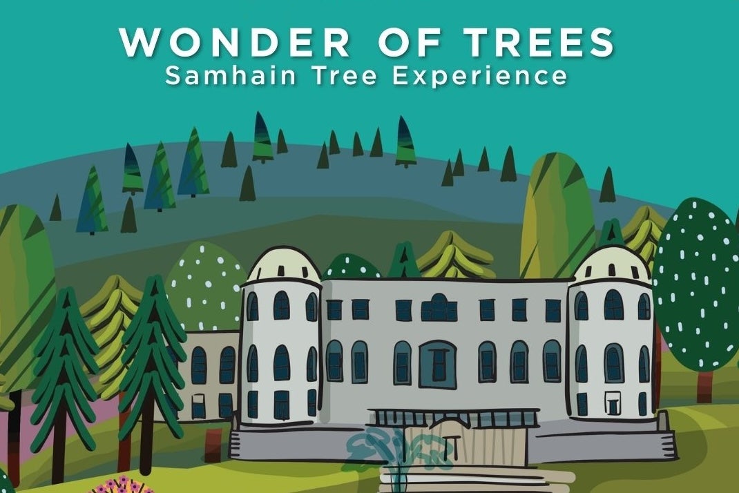Wonder of Trees: A Samhain Tree Experience