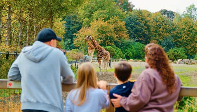 Dublin Zoo