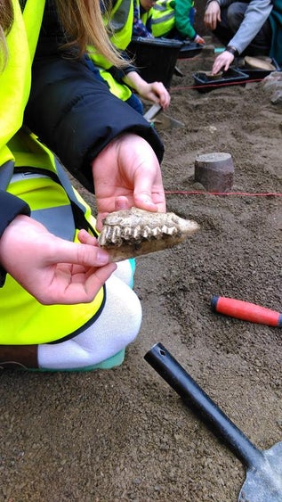 The Big Dig: A Viking Adventure for Kids