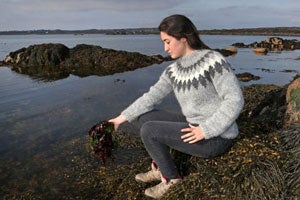 A person foraging for seaweed in the sea.
