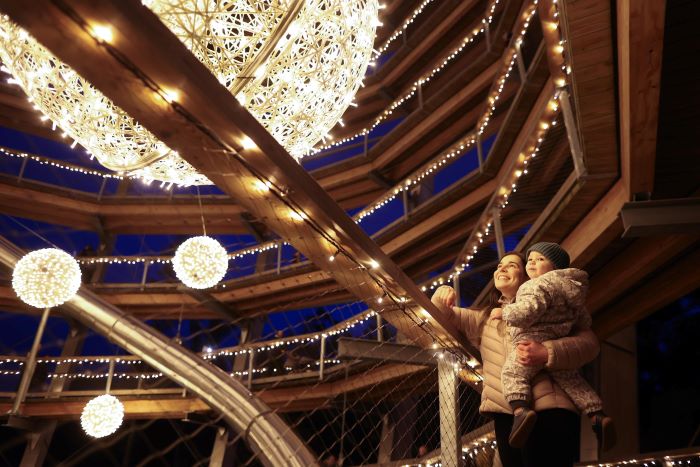 Experience the magic of the forest at night at Beyond the Trees Avondale