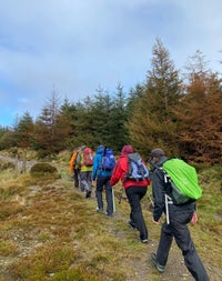 A group of hikers with backpacks and walking sticks hiking up a forestry path