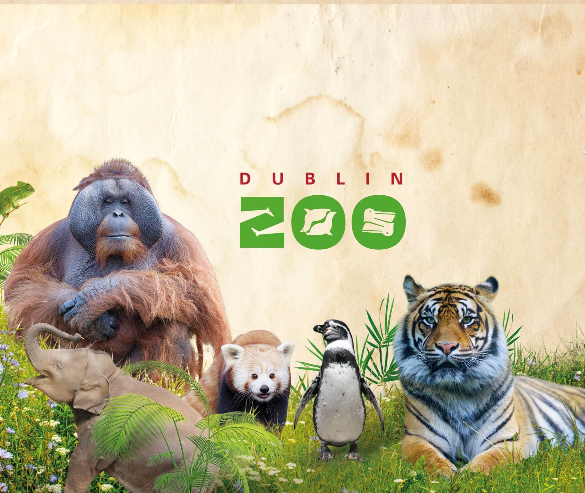 Image of animals that are in Dublin Zoo in County Dublin