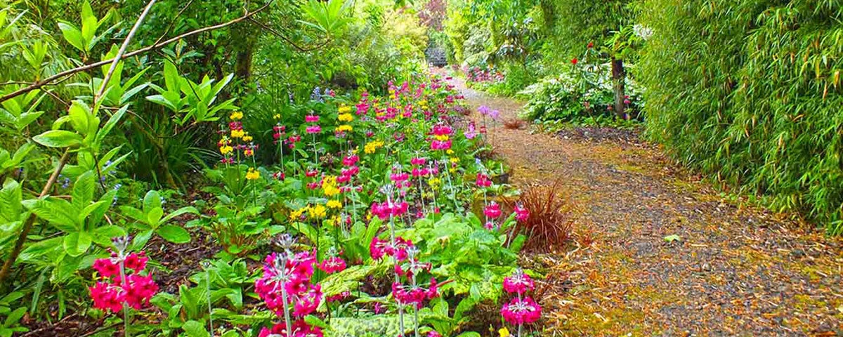 Pathway with red and yellow flowers on left and greenery on right
