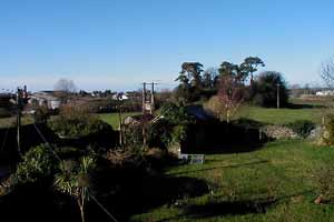 Callan Motte