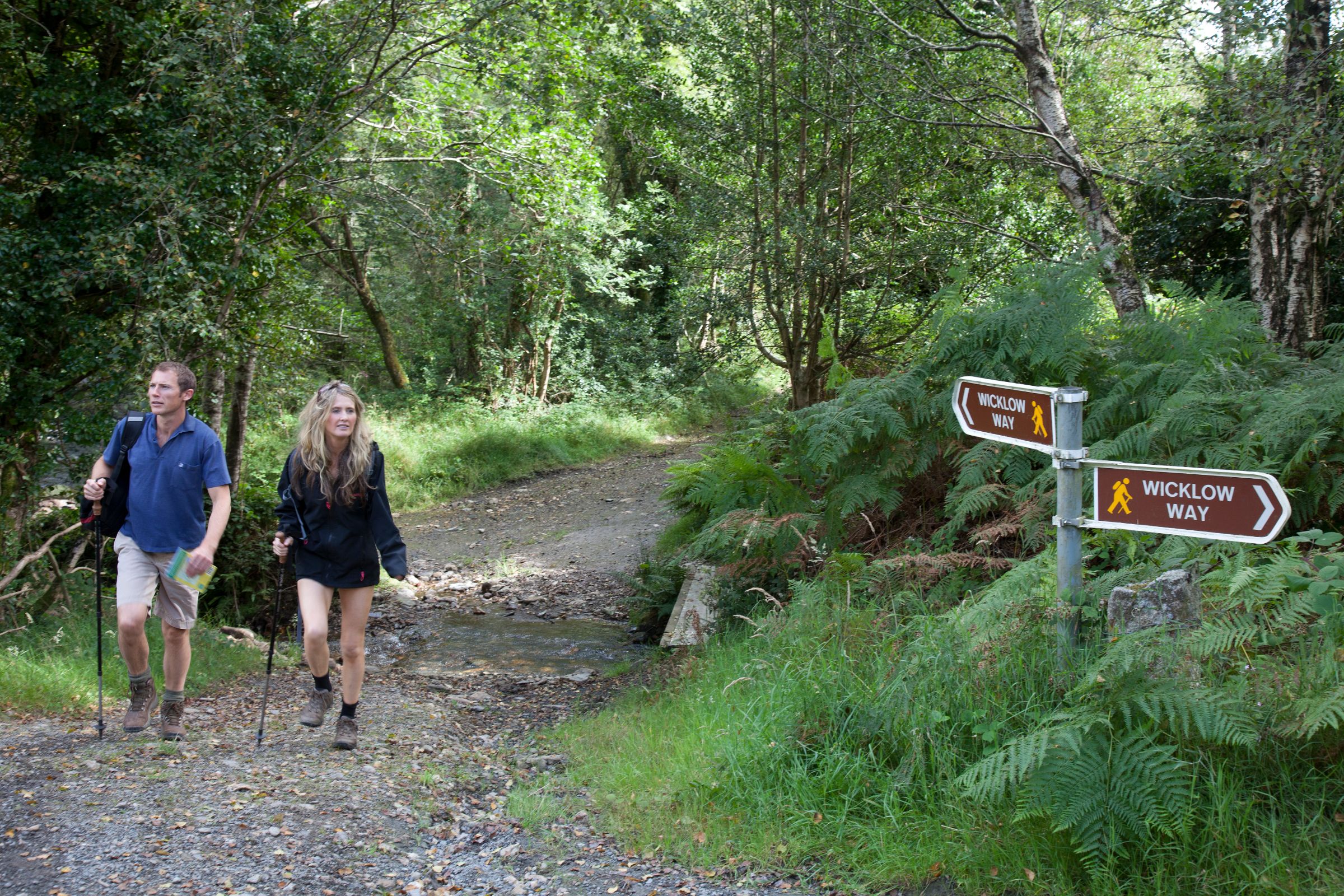 Image of a couple walking the Wicklow Way in County Wicklow