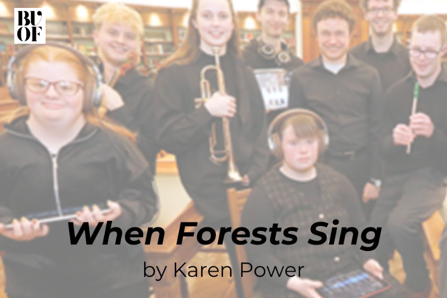 A wordless opera, performed by members of OYOI (Open Youth Orchestra of Ireland – musicians living with disabilities), students from RIAM (Royal Irish Academy of Music), with instrumentalists, choir, soundscapes, forest soundscapes