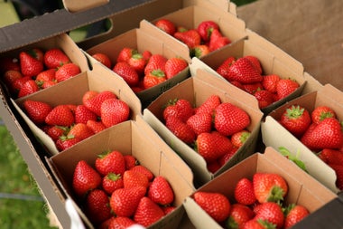 Explore Fingal Markets Malahide Strawberries