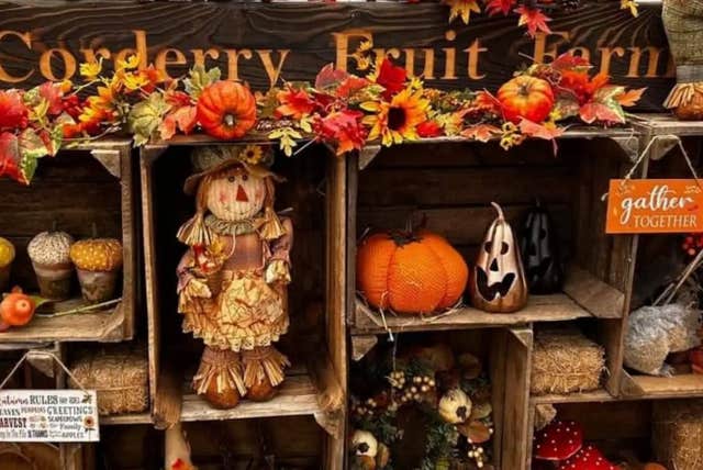 Pick Your Own Pumpkins at Corderry Fruit Farm, Louth