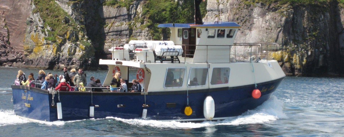 dingle boat tours