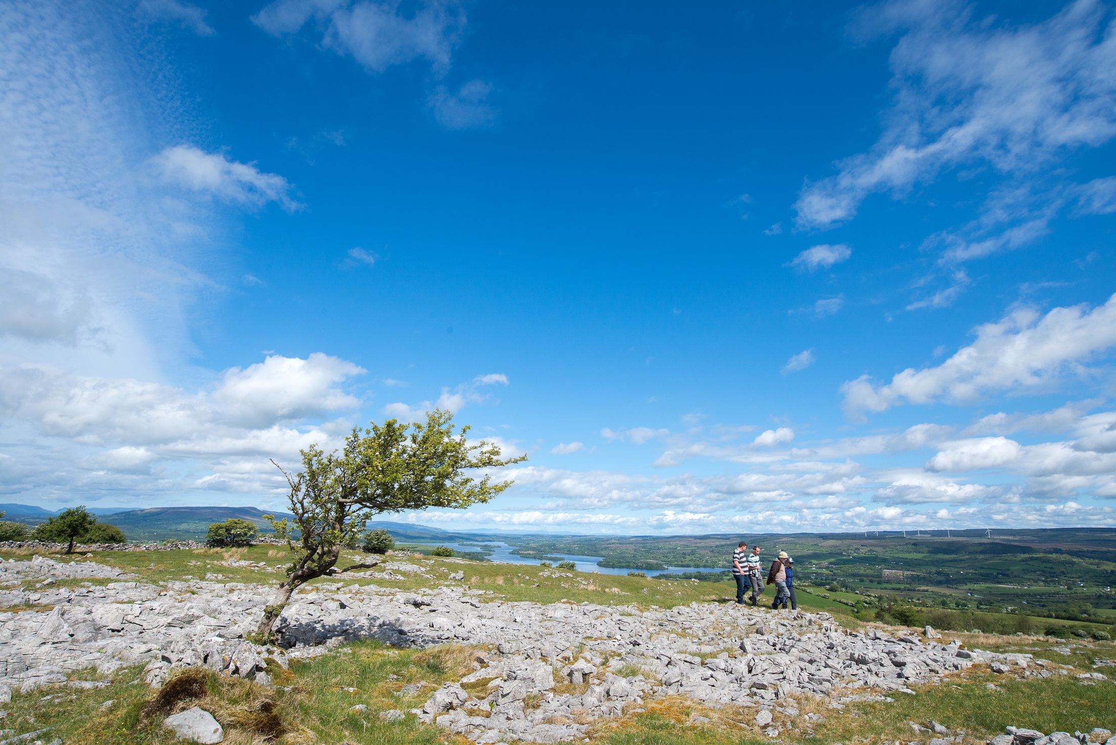 Panorama at the Cavan Burren Park