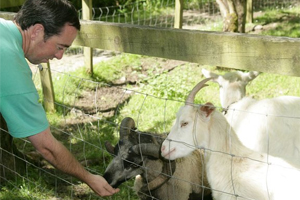 Turoe Pet Farm and Leisure Park