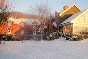 Rolfs Holiday Cottages