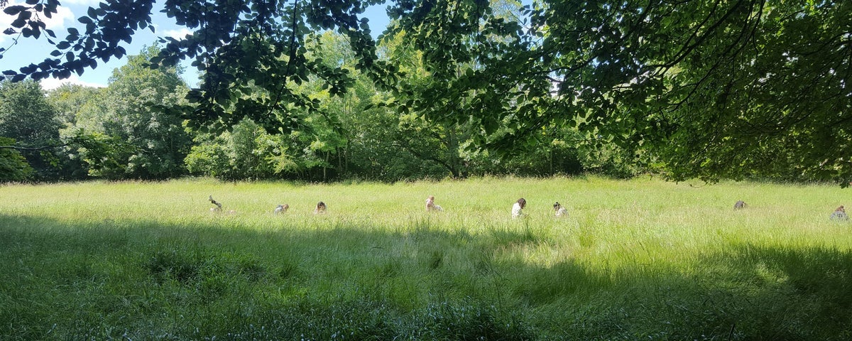 A group of people in a field amongst tall grass