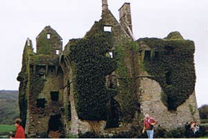 Coppinger's Court