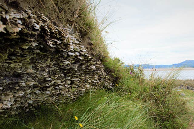 Culleenamore Middens