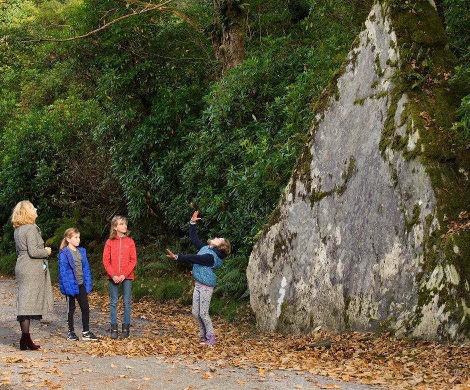 One adult and three children standing amongst fallen leaves with a rock and trees behind them