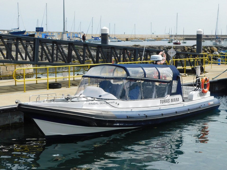 Fingal Sea Safari boat parked up at the harbour