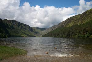 Turas Éireann