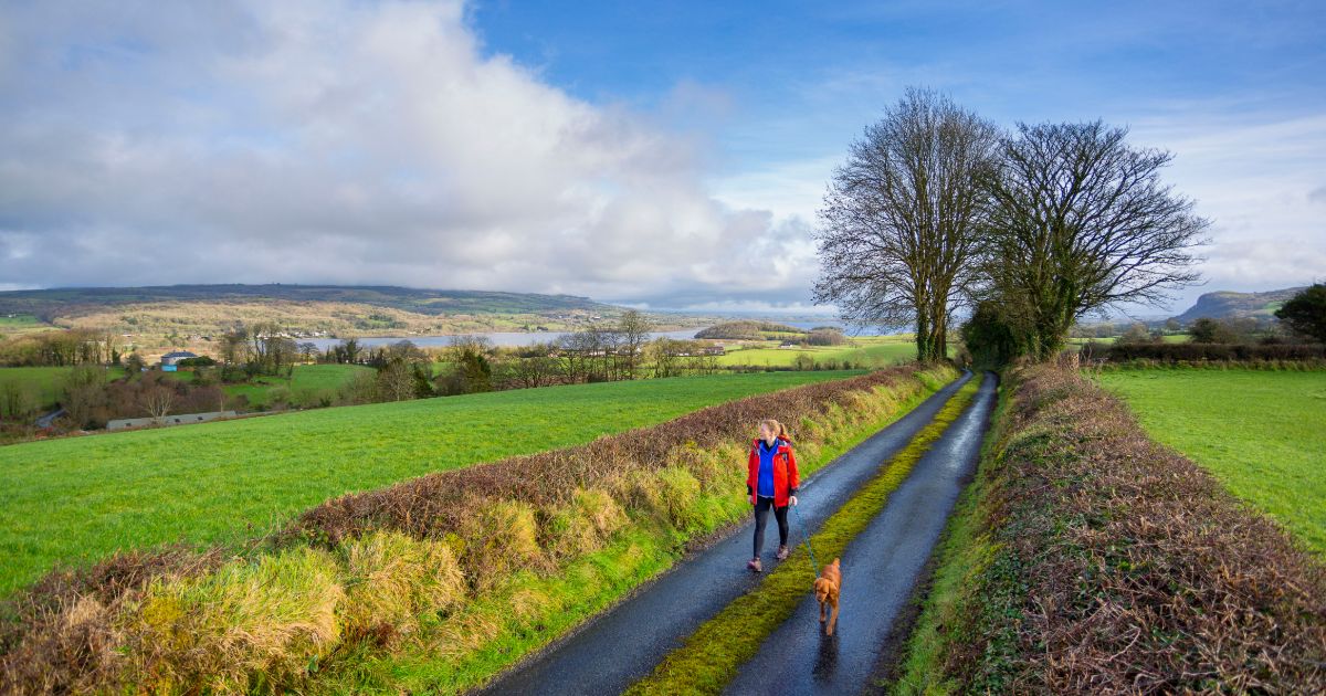 Discover 5 Great Walks Along the River Shannon with Discover Ireland