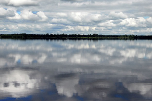 Midlands Angling Lake